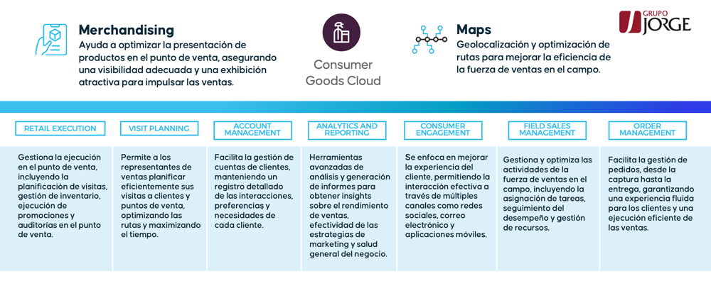 info salesforce grupo jorge